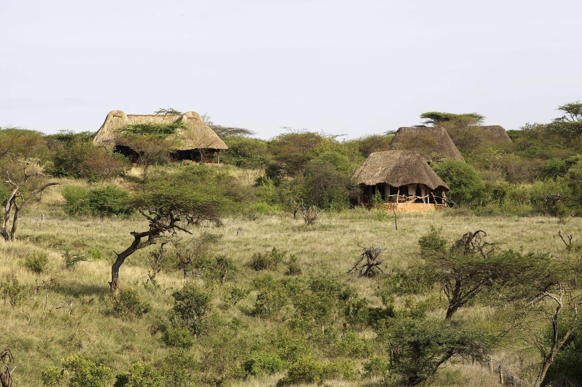 Elewana Lewa Safari Camp Otel Timau Dış mekan fotoğraf