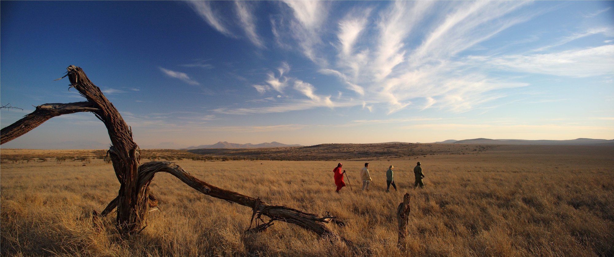 Elewana Lewa Safari Camp Otel Timau Dış mekan fotoğraf