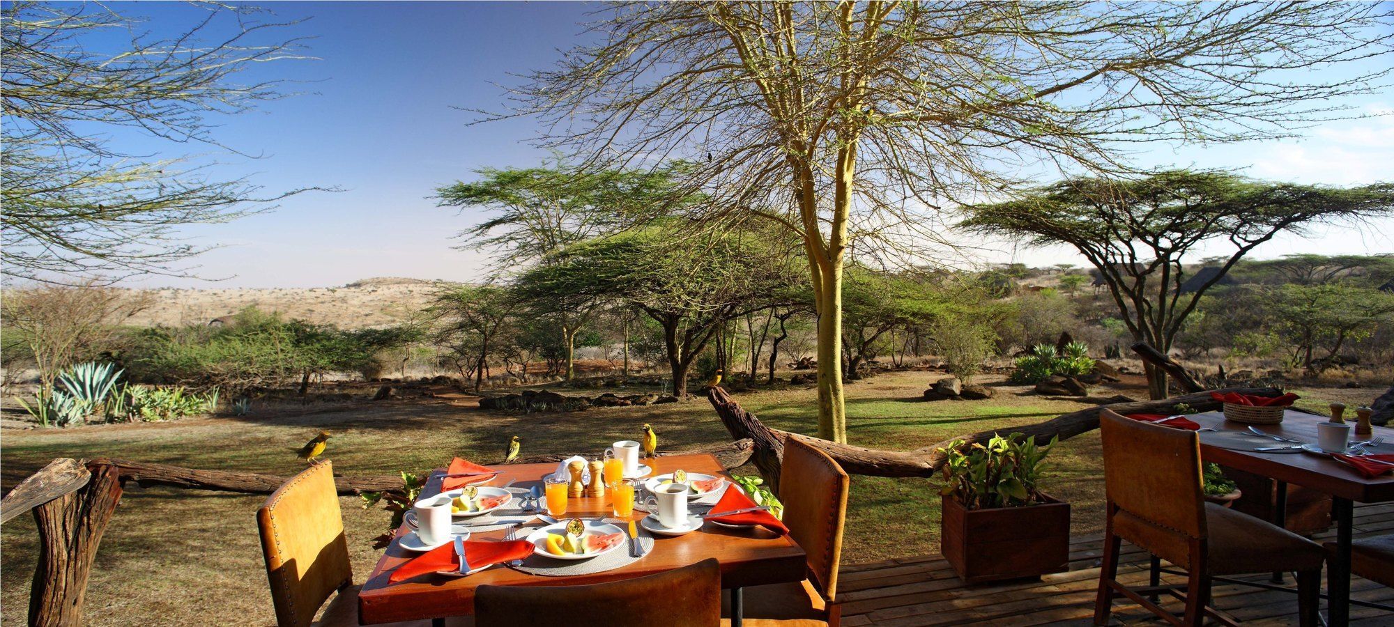 Elewana Lewa Safari Camp Otel Timau Dış mekan fotoğraf